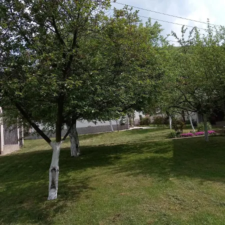 Apartment Red Rose Visoko