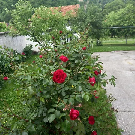 Red Rose Apartment Visoko