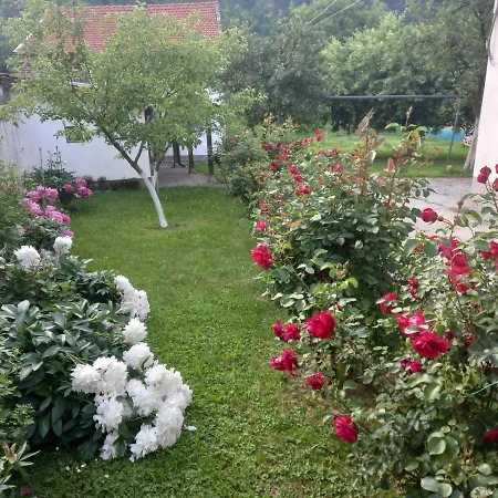 Apartment Red Rose